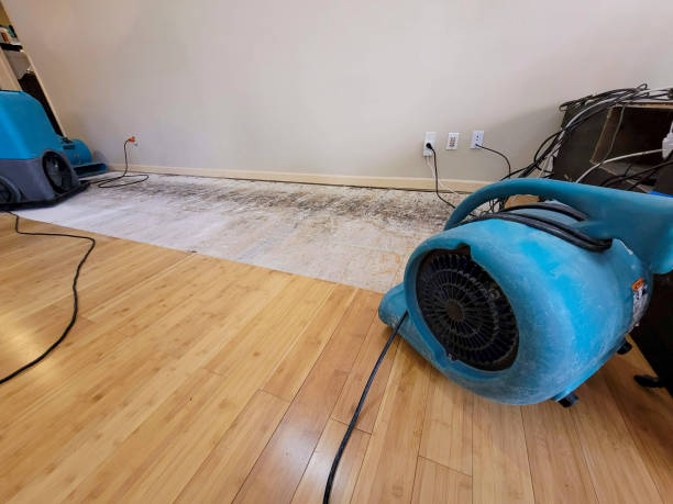 Professional Ceiling Water Damage Repair technician working in Horse Shoe, NC